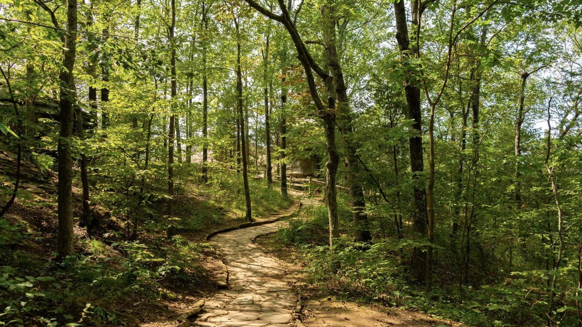 Screenshot 2025-07-08 at 1.05.09 PM